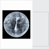 Globe x-ray by Jacques Hardy