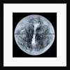 Globe x-ray by Jacques Hardy