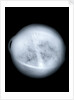 Globe x-ray by Charles Price