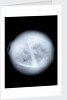 Globe x-ray by Charles Price