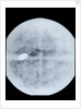 Globe x-ray by Jodocus Hondius