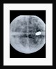 Globe x-ray by Jodocus Hondius