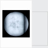 Globe x-ray by Robert Morden