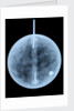 Globe x-ray by William Bardin