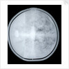 Globe x-ray by Jacob Aertsz Colom