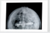 Globe x-ray by Jacob Aertsz Colom