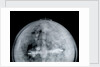 Globe x-ray by Jacob Aertsz Colom