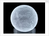 Globe x-ray by unknown