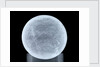 Globe x-ray by unknown