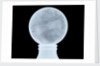 Globe x-ray by Moll