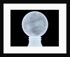 Globe x-ray by Moll
