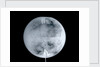 Globe x-ray by Herman Moll
