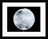Globe x-ray by Herman Moll