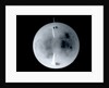 Globe x-ray by Dudley Adams