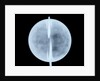 Globe x-ray by Thomas Patrick