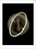 Globe x-ray by Joannes Oterschaden