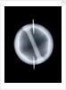 Globe x-ray by Joannes Oterschaden