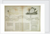 A new and correct chart from the Isle of Dogs, to Prittlewell, and the Nore by John Diston
