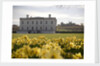 Exterior of Queen's House by National Maritime Museum