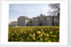 Exterior of the National Maritime Museum, Greenwich in spring by National Maritime Museum