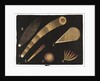 Comets by Unknown