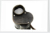 Binoculars by Carl Zeiss