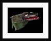 Puppet 'Crocodile', part of Punch and Judy set by unknown