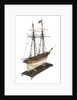 Cargo schooner by unknown