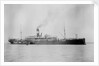 'Waratah' (Br, 1908) by unknown