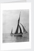 'Rathbale' (Br) sailing barge, under sail by unknown