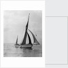 'Rathbale' (Br) sailing barge, under sail by unknown