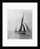 'Rathbale' (Br) sailing barge, under sail by unknown