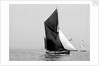 'Lord Nelson' (Br, 1898) sailing barge under sail by unknown