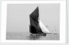 'Lord Nelson' (Br, 1898) sailing barge under sail by unknown