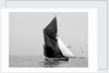 'Lord Nelson' (Br, 1898) sailing barge under sail by unknown