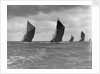 The Spritsail Barge Race, 1903 by Anonymous