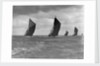 The Spritsail Barge Race, 1903 by Anonymous