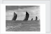 The Spritsail Barge Race, 1903 by Anonymous