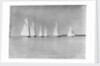 Six yachts racing on the Medway by Anonymous