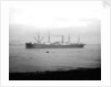'Ayrshire' (Br, 1903) anchored on the River Thames at Tilbury by unknown