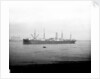 'Ayrshire' (Br, 1903) anchored on the River Thames at Tilbury by unknown