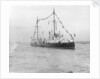 HMS 'Gossamer' (1860) on 28 June 1897 by unknown
