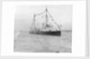 HMS 'Gossamer' (1860) on 28 June 1897 by unknown