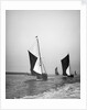 Sailing barge 'Sirdar' (Br, 1898) racing with other barges in the 1899 Thames Barge Match by Anonymous