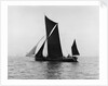 Sailing barge 'Veronica' (Br, 1906) under sail by unknown