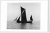 Sailing barge 'Veronica' (Br, 1906) under sail by unknown