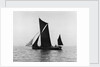 Sailing barge 'Veronica' (Br, 1906) under sail by unknown