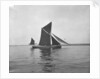 Sailing barge 'Sara' (Br, 1902) under sail by unknown