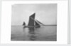 Sailing barge 'Sara' (Br, 1902) under sail by unknown