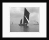 Sailing barge 'Mildreda' (Br, 1900) under sail by unknown